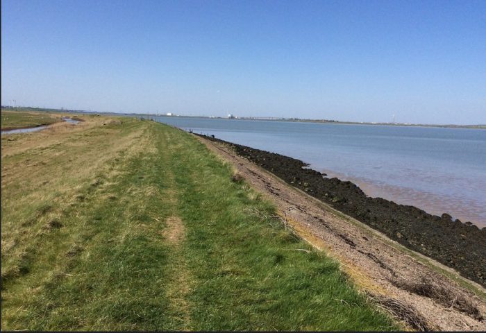 Margate-estuary