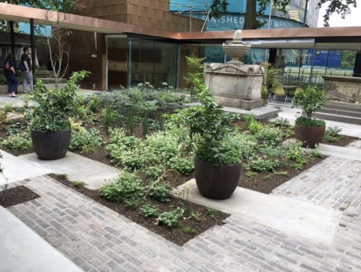 Lambeth Garden Museum